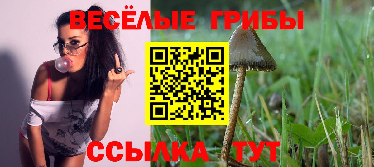 Миасс  Псилоцибиновые грибы Psilocybine cubensis  Вход с VPN 