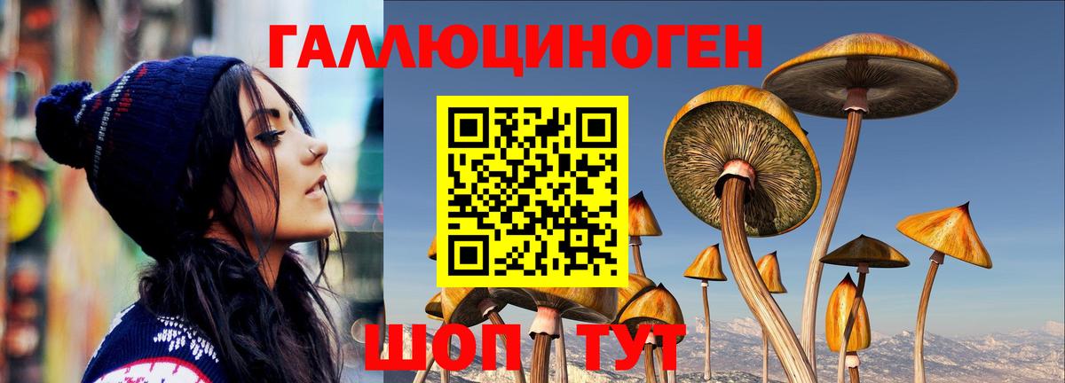 Псилоцибиновые грибы Psilocybine cubensis Миасс